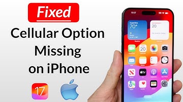 iOS 17: How to Fix Cellular option missing in iPhone settings