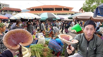Chợ phiên vùng cao bán toàn đặc sản và thảo dược quý của núi rừng tây bắc