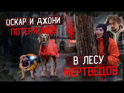 Видео: ОСКАР И ДЖОНИ ПОТЕРЯЛИСЬ В ЛЕСУ МЕРТВЕЦОВ...😰