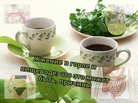 Жжение в горле и пищеводе: что это может быть, причины