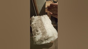 Easy way to save money on your energy bills #insulation #shorts #shortvideo #insulating #youtube