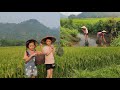 Grandfather cleared the orange fields and the two of them went to the fields to catch snails