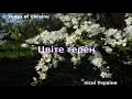 Song Of Ukraine The Thornbush Blooms Пісні України Цвіте терен Vita St