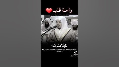تلاوة خاشعة مؤثرة جدا 🌱الشيخ ياسر الدوسري 🍃 ،حالات واتس اب🍃