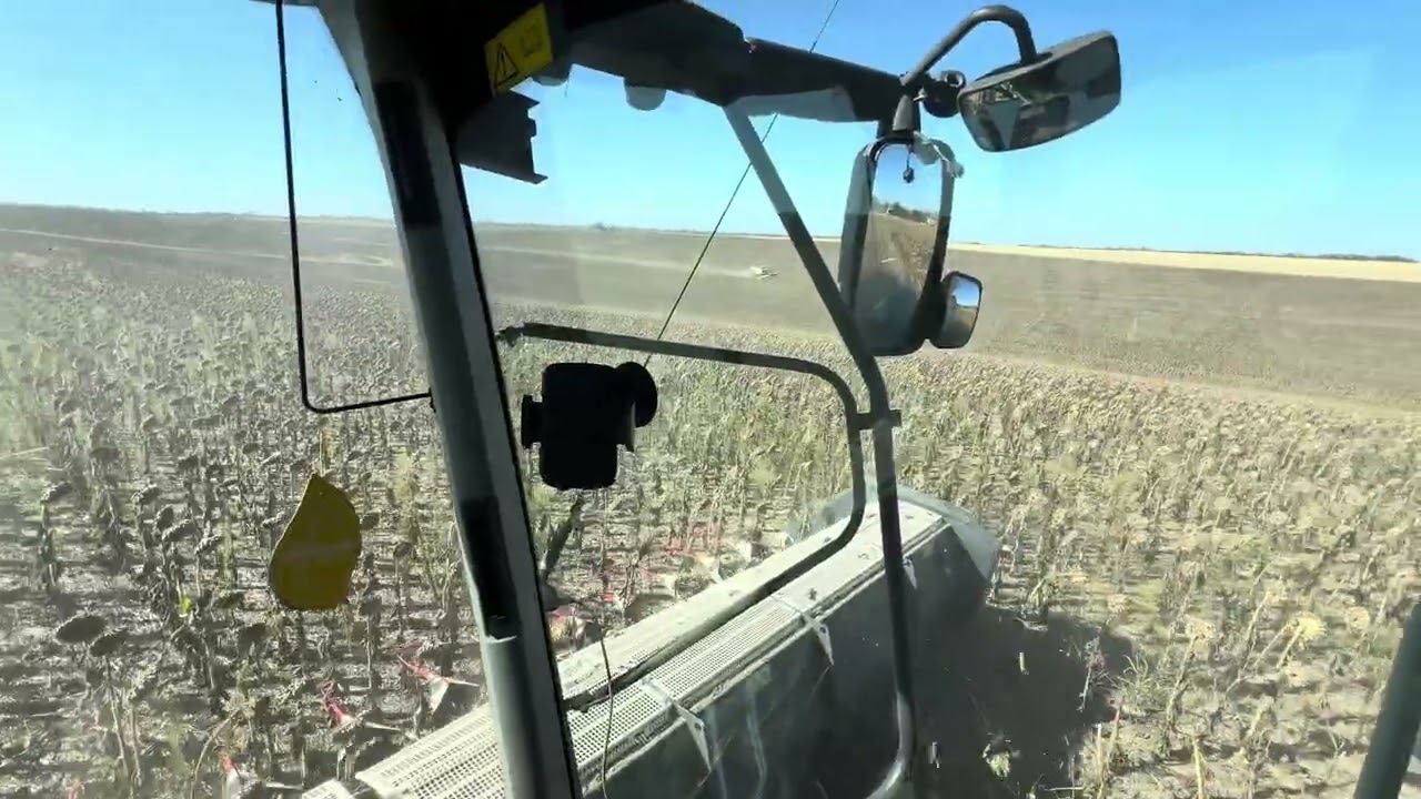 #1. 30 tysięcy hektarów słonecznika w Bułgarii