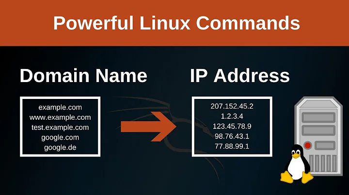 Domain name to IP address with Linux