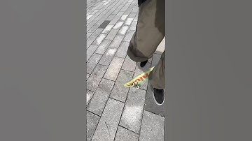 Nollie Pop Shuvit Late Flip