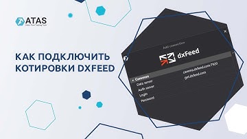 Как подключить котировки dxFeed