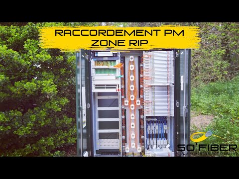 Raccordement au PM dans une RIP