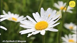 Al-Fatihah 8 Maqom/Irama | Rost, Sika, Nahawand, Kurdi, Hijaz, Ajam/Jiharkah, Shoba dan Bayati.