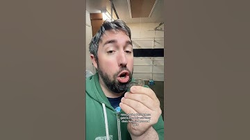 Only Gold in D&D! #dnd #dungeonsanddragons #ttrpg #game #fun #dm #gm #dnd5e #friends #gold #shorts