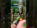 Funny Animals Going Into Full Madness 😂🔥 Too Good || #funnyanimals #ranking