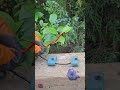 Pro Tip for Hiding Wires in Wood 🪵🤫 #diy #tips #woodwork #satisfying #ytshort #viral #story #reels