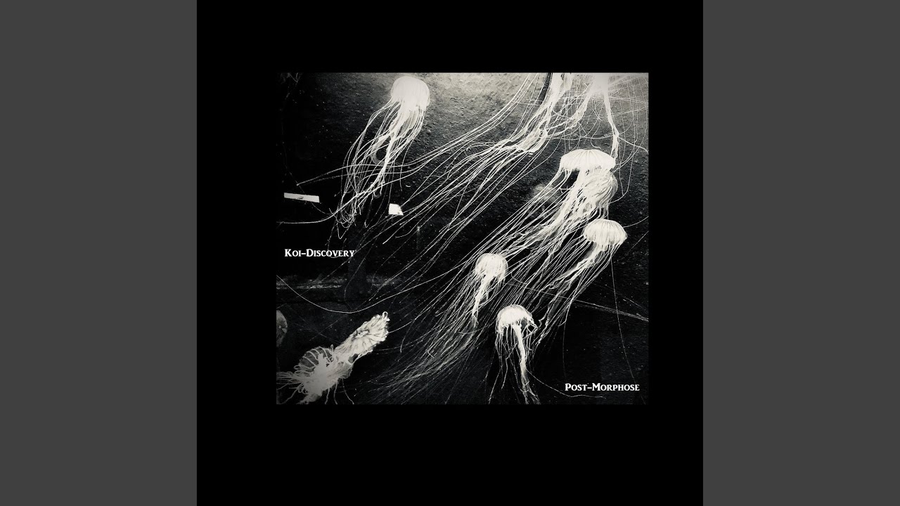 Mira End en YouTube Mira End en YouTube