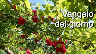 Vangelo Del Giorno Mercoledi 21 Giugno 2023