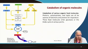 Microbial Metabolism - III #swayamprabha #ch31sp
