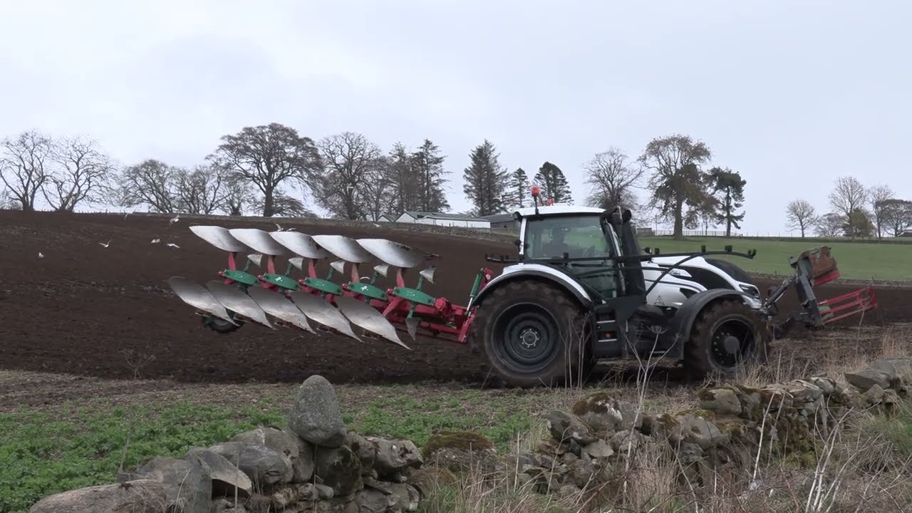 Alan MacKay at the endrigs