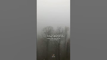 ( ربنا لا تزغ قلوبنا بعد إذ هديتنا ) القارئ عبدالرحمن مسعد #القرآن_الكريم
