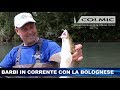 BARBI IN CORRENTE CON LA BOLOGNESE