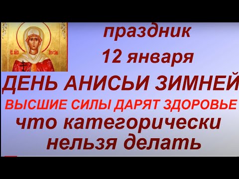 12 января - День Анисьи Зимней. Что можно и нельзя делать. Народные приметы и традиции.