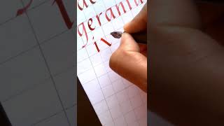 Did you know? The italics font we use in computers is derived from #italiccalligraphy #ashortaday