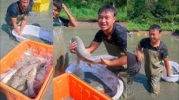 Mở Ao Cá Sau 10 Năm, Đại Biểu Ca Không Ngờ Lại Gặp Phải “Vua Bắt Cá