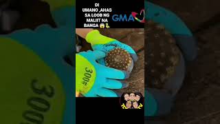 SMALL GIVE AWAY May ahas #foryou #kmjs #viral #treasure #fypシ #giveaway #snake #fypシ゚ #fyp #foryou