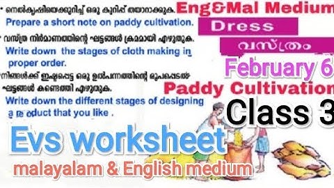 class 3 EVS worksheet/kite victers online class worksheet/english & malayalam medium/February 6