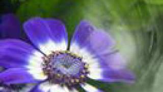 Esoşum Biricigim Hehe Baslık Kalmadı Salla Gitsin :)