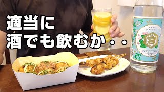スーパーの焼鳥と冷凍食品で適当に酒飲んで寝る。これもまた幸せな休日【宅飲み】