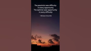 PESSIMIST or OPTIMIST Which Mindset Leads to Success? - DAILY MOTIVATIONAL QUOTE