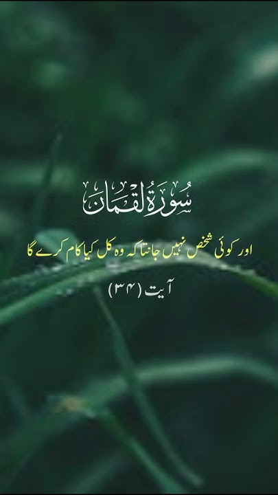 Surah Luqman Verses 34 YouTube surah-luqman-verses-34-youtube