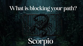 Scorpio 🔮 What’s blocking your path? ✨ Timeless Read