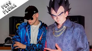 PESO PLUMA ft. Vegeta (con IA)