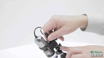 Dino-Lite MS10B Tripod Mobile Stand