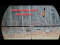 2024 Opening Day 7mm Rem Mag Doe Harvest 135 Grain Cutting Edge Raptor 2024 Opening Day 7mm Rem Mag Doe Harvest 135 Grain Cutting Edge Raptor