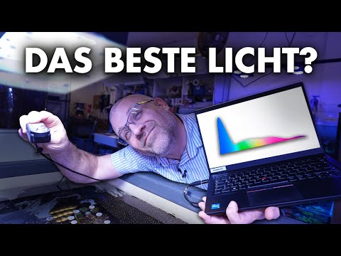 Video: Spitze der Klasse: Die besten Smart Light Bulbs