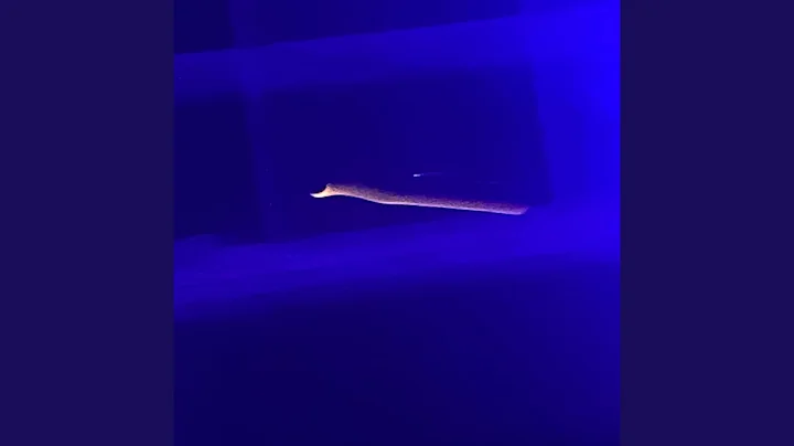 773.3 808 + 2/15/2025 + 4.11 PM (Remastered)