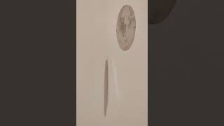 Mystery: Why does the shadow move out of sync with the object? | Tate Modern