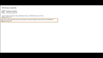 Cumulative update preview for .NET framework 3.5 and 4.8 for Windows 10 version 21H1 for x64