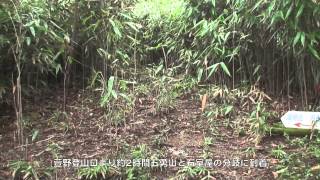 五勇山から国見岳へ