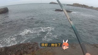 水湳洞海蝕岩 釣況分享 Wild fishing in Taiwan. [嘟嘟釣魚狂#252] 2024/04/01