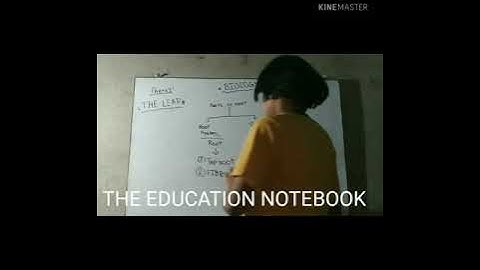 Class 6 (ICSE BOARD) BIOLOGY chapter-1 (THE LEAF) PART-2