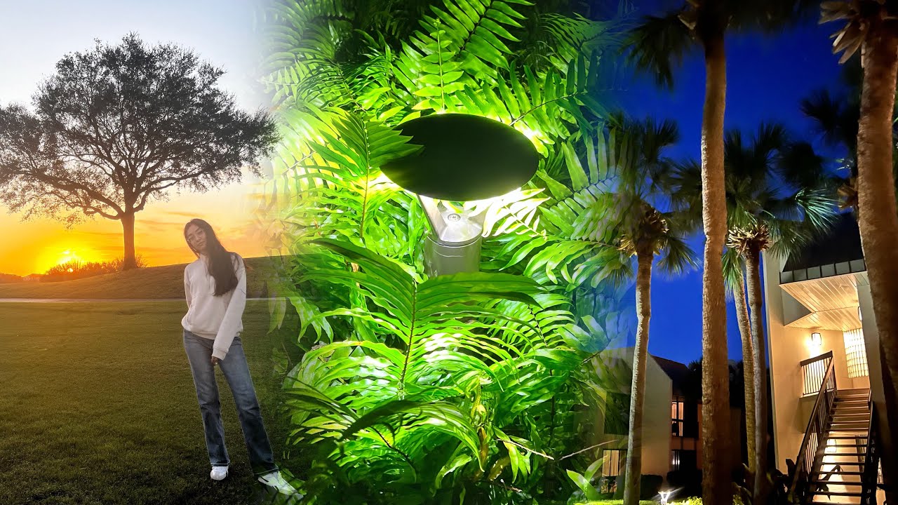 🔻“Escape the Cold! Florida Winter Vibes & Ocean Magic! 🌅✨”