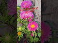 bacche Ka mehnat rang laya 😍😍❤️❤️😊#hd #minivlog #trending #viral #youtube