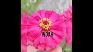 Download lagu Cutie uyy - soulthrll, lyric video #cutieuyy #soulthrll #lyrics