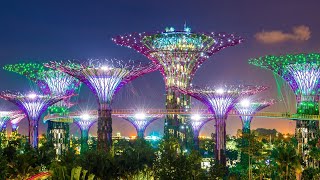 Supertree Grove at Gardens by the Bay 🌟 | Singapore’s Iconic Night Lights | Marina Bay