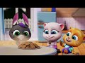 The Best of 2020! 🏆 Talking Tom Shorts (Funny Cartoon Compilation)