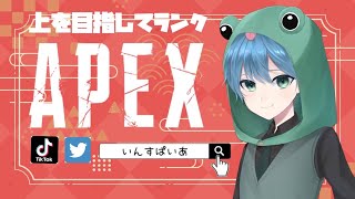 【apex】らんくまーち プラチナ