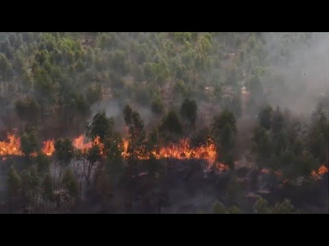 Drones For Good: wildfires